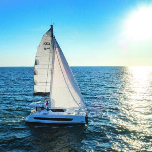 BALI CAT_ASTRASERVICES IBIZA